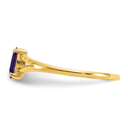 10K Gelbgold Ring, poliert, mit echtem Amethyst-Geburtsstein