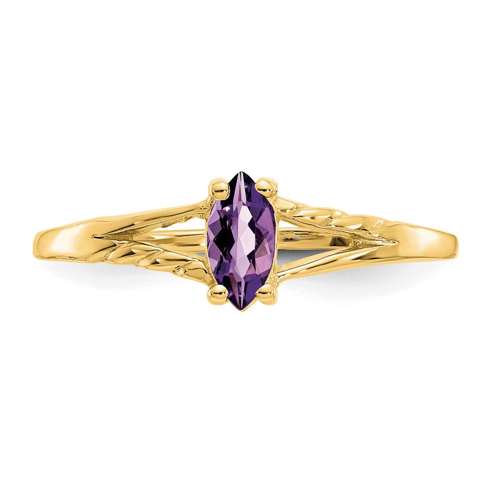 10K Gelbgold Ring, poliert, mit echtem Amethyst-Geburtsstein