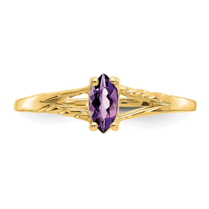 10K Gelbgold Ring, poliert, mit echtem Amethyst-Geburtsstein