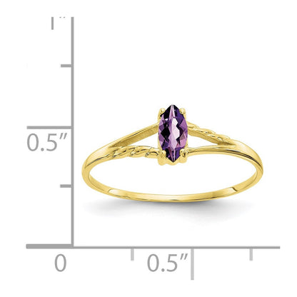 10K Gelbgold Ring, poliert, mit echtem Amethyst-Geburtsstein