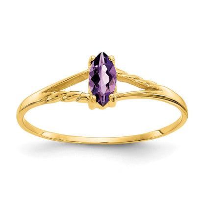 10K Gelbgold Ring, poliert, mit echtem Amethyst-Geburtsstein