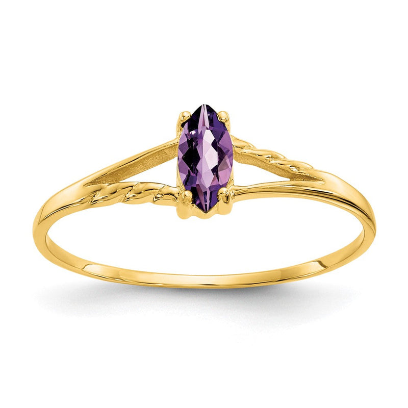 10K Gelbgold Ring, poliert, mit echtem Amethyst-Geburtsstein