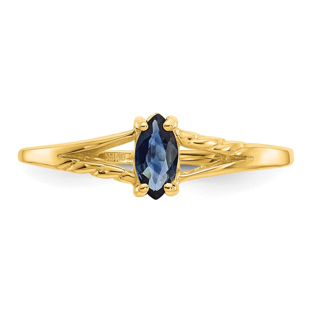 10K Gelbgold Ring mit poliertem echtem Saphir-Geburtsstein