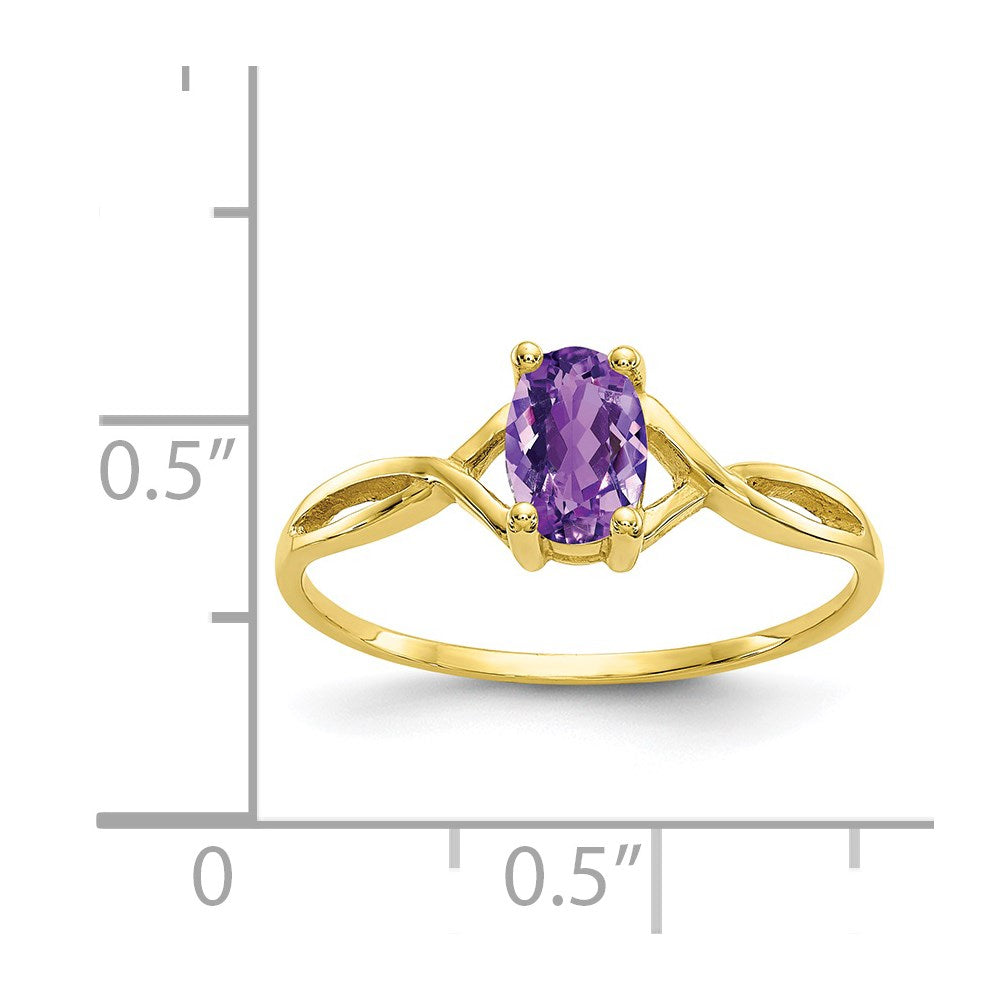 10K Gelbgold Polierter Echter Amethyst-Geburtsstein-Ring