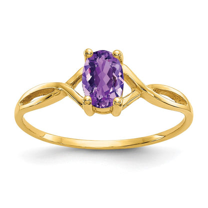 10K Gelbgold Polierter Echter Amethyst-Geburtsstein-Ring