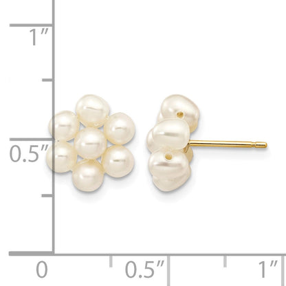 10K Gelbgold 3-4mm Weiß Egg Süßwasser Zuchtperle Blume Ohrstecker