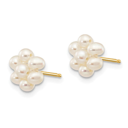 10K Gelbgold 2-3mm Weiß Egg Süßwasser Zuchtperle Blume Ohrstecker