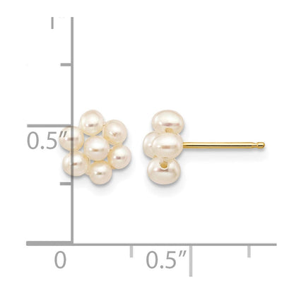 10K Gelbgold 2-3mm Weiß Egg Süßwasser Zuchtperle Blume Ohrstecker