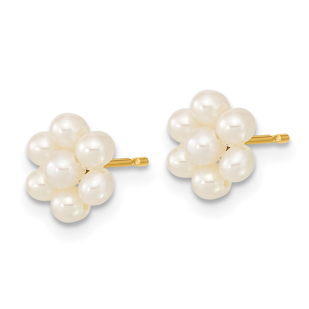 10K Gelbgold 2-3mm Weiß Knopf Süßwasser Zuchtperle Blume Ohrstecker