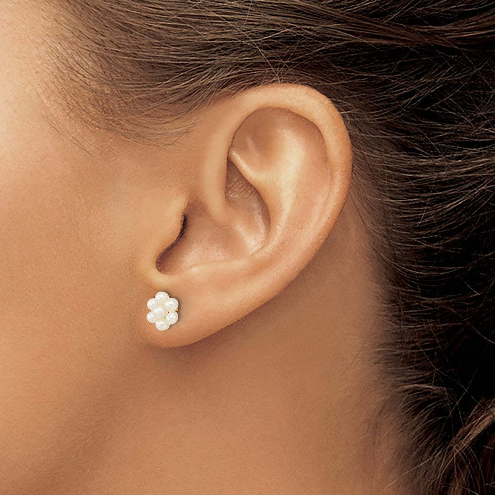 10K Gelbgold 2-3mm Weiß Knopf Süßwasser Zuchtperle Blume Ohrstecker