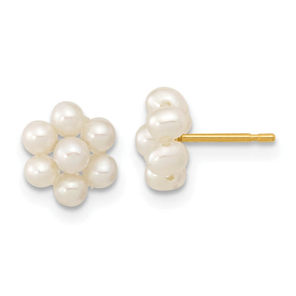 10K Gelbgold 2-3mm Weiß Knopf Süßwasser Zuchtperle Blume Ohrstecker