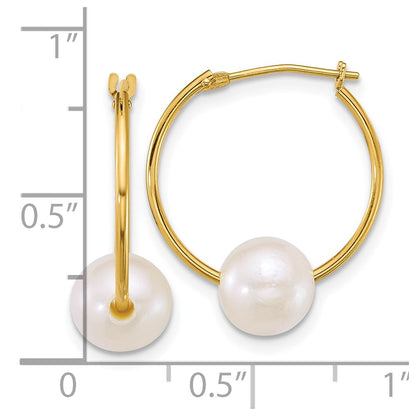 10K Gelbgold Poliert 7-8mm Halb-round Weiß Süßwasser Zuchtperle Creolen