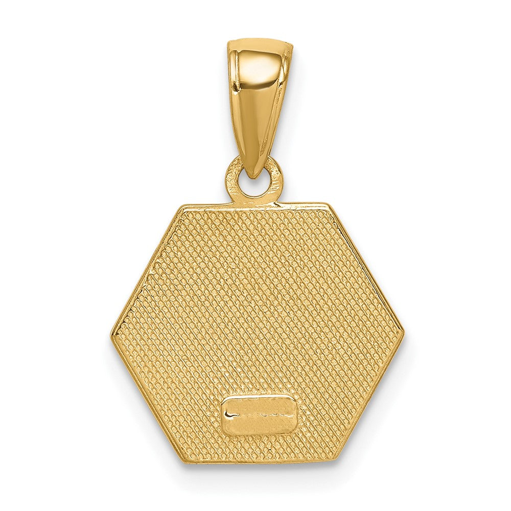 10K Gelbgold 10K Emailliert Medizinisch Disk Anhänger