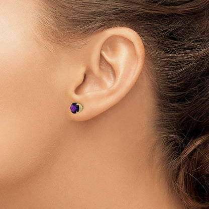 10K Tiara Collection Polierte Diamant-Amethyst-Ohrstecker