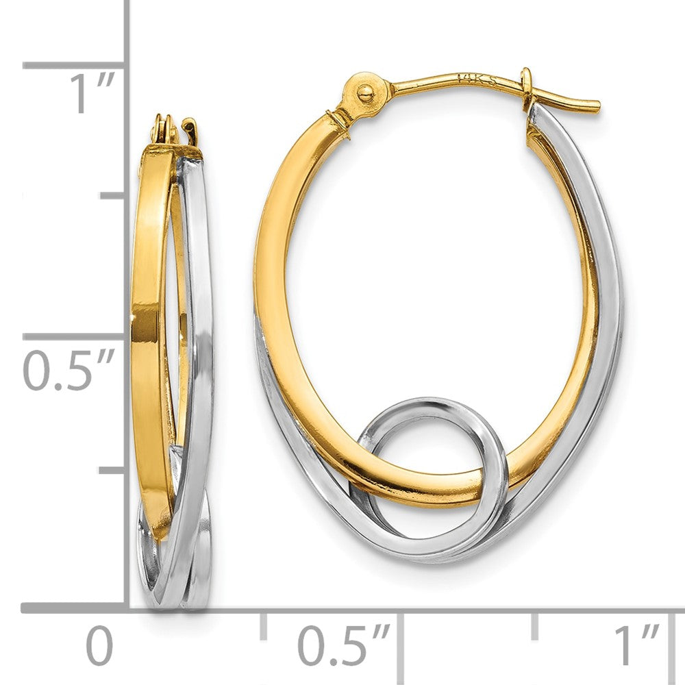 10K Bicolor Oval Loop Creolen