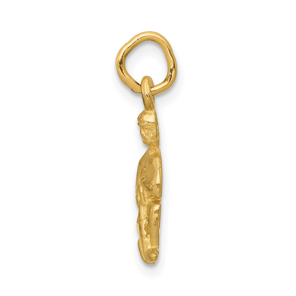 10K Gelbgold Aquarius Tierkreis Charm
