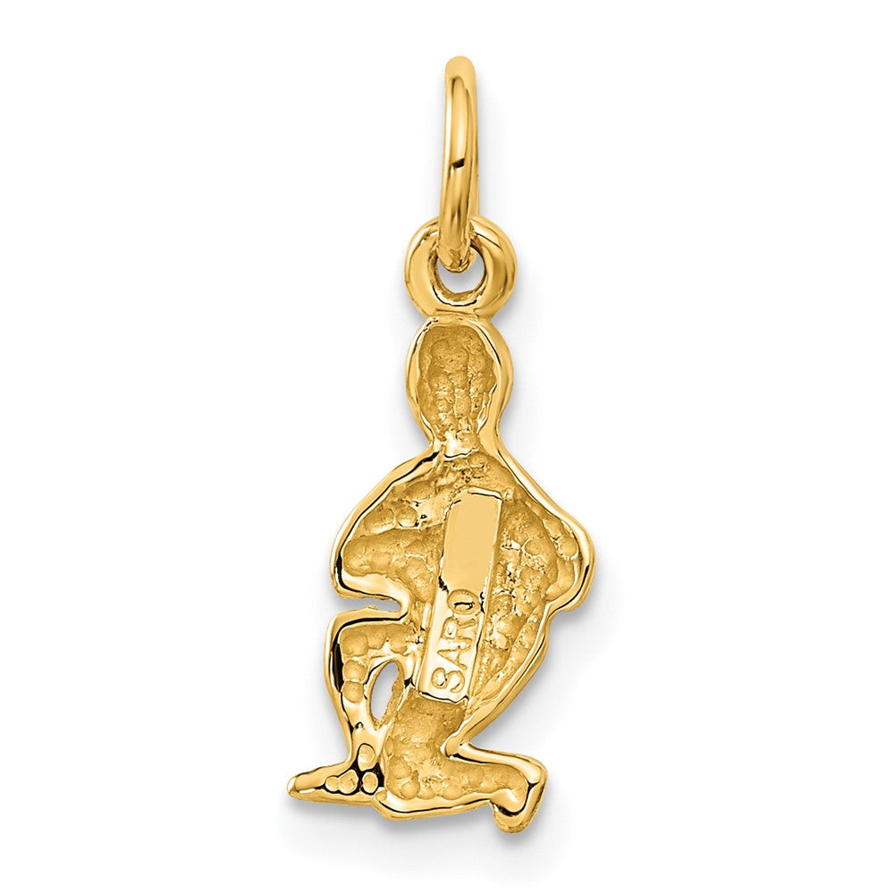 10K Gelbgold Aquarius Tierkreis Charm