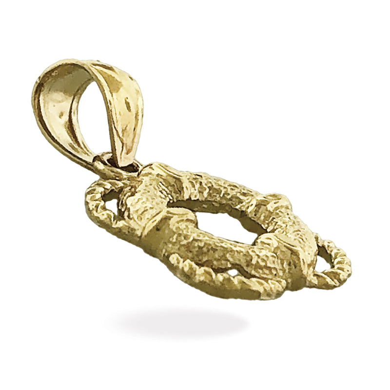 14K Gold Rettungsring-Charm