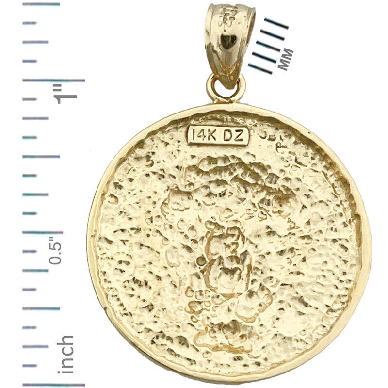 14K Gold Löwe Kopf Medallion