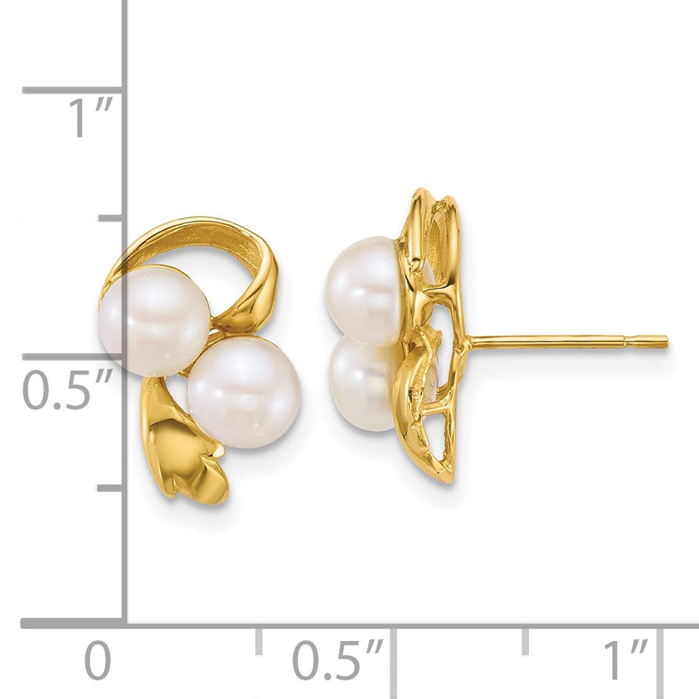 14K Gelbgold Poliert 5-6mm Knopf Süßwasser Zucht 2-pearl Ohrstecker