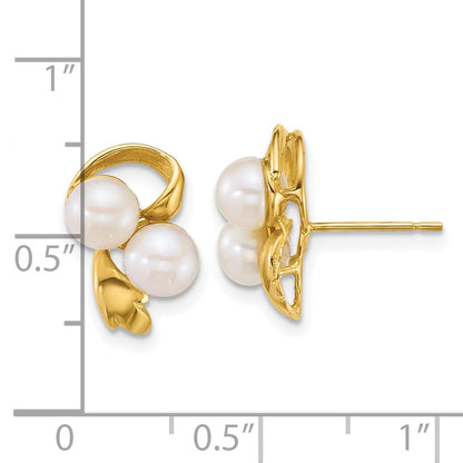 14K Gelbgold Poliert 5-6mm Knopf Süßwasser Zucht 2-pearl Ohrstecker