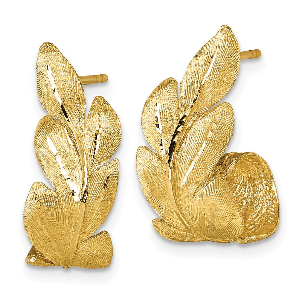 14K Gelbgold Gebürstet und Strukturiert Curled Blatt Ohrstecker