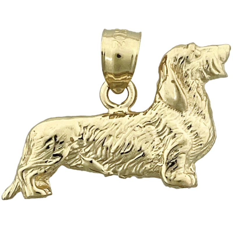 14K Gold 24-mm-Anhänger „Rauhaardackel“