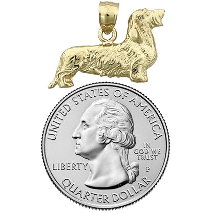 14K Gold 24-mm-Anhänger „Rauhaardackel“