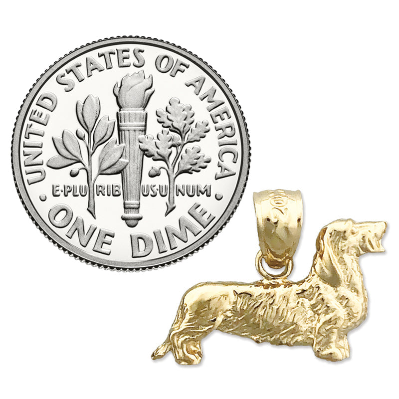 14K Gold 18mm Rauhaardackel-Charm