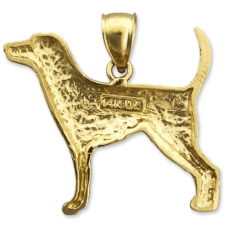 14K Gold Englischer Vorstehhund-Anhänger
