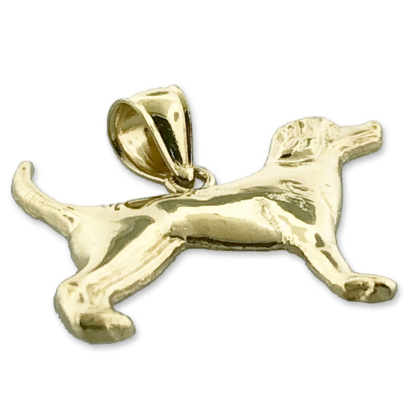 14K Gold Englischer Vorstehhund-Anhänger