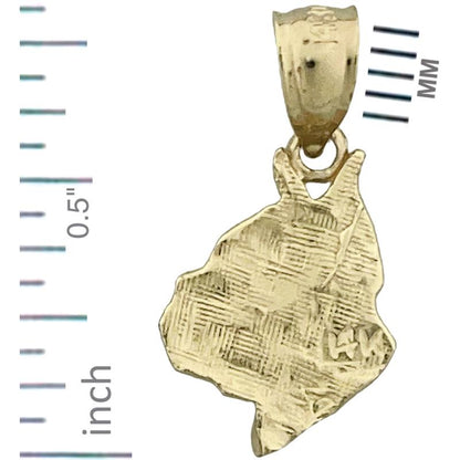 14K Gold Boxer-Gesicht-Charm
