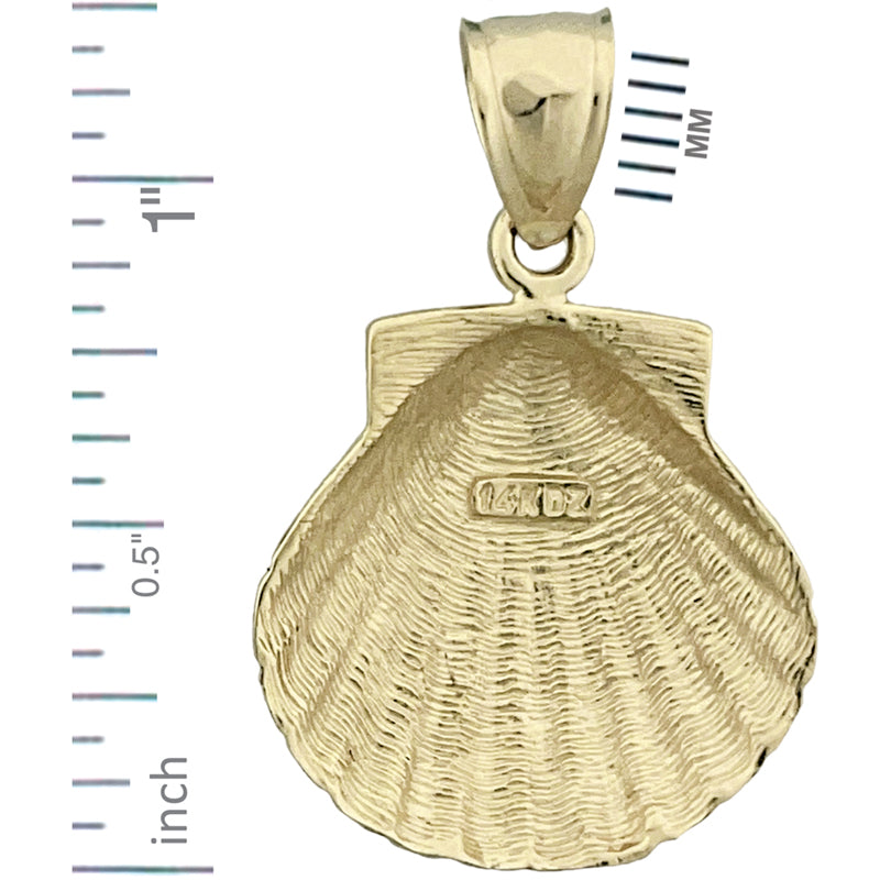 585 Gold 20-mm-Muschelanhänger (Jakobsmuschel)