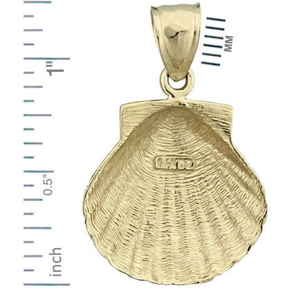 585 Gold 20-mm-Muschelanhänger (Jakobsmuschel)