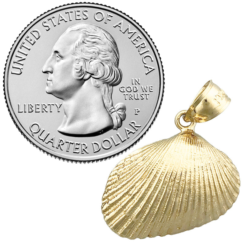 14K Gold Muschel-Anhänger (Venusmuschel-Seeschale)