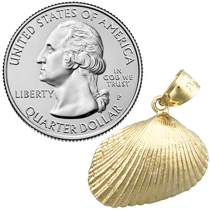 14K Gold Muschel-Anhänger (Venusmuschel-Seeschale)