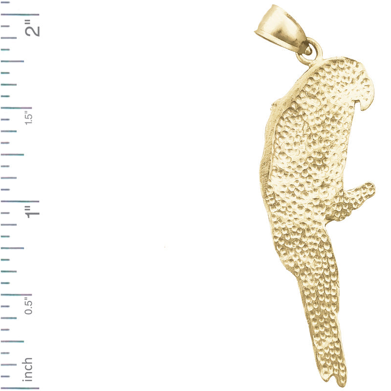 14K Gold Macaw-Anhänger