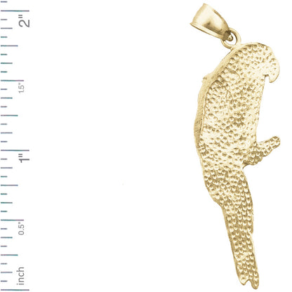 14K Gold Macaw-Anhänger