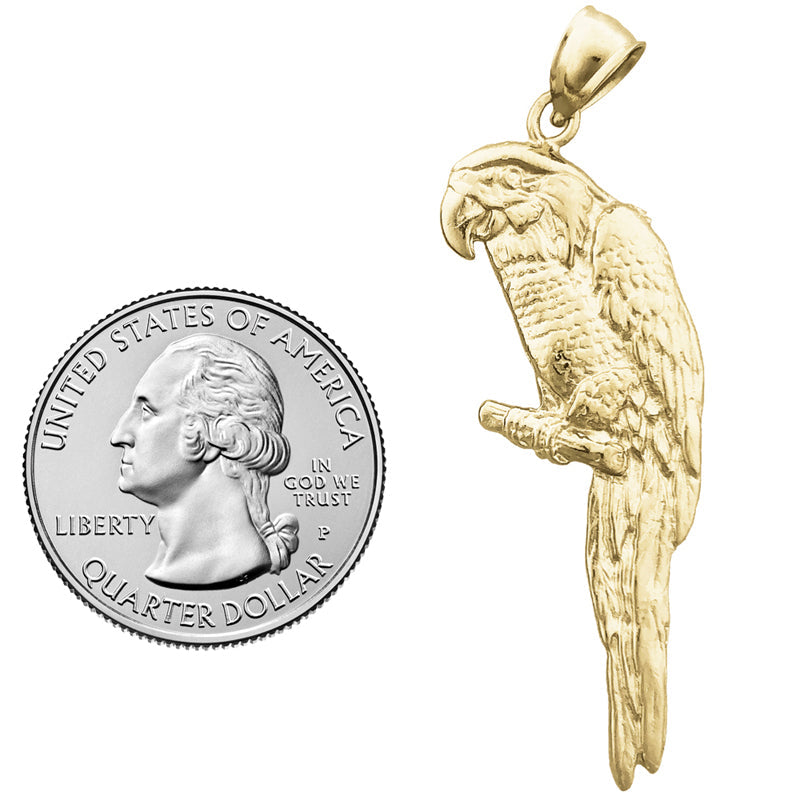 14K Gold Macaw-Anhänger
