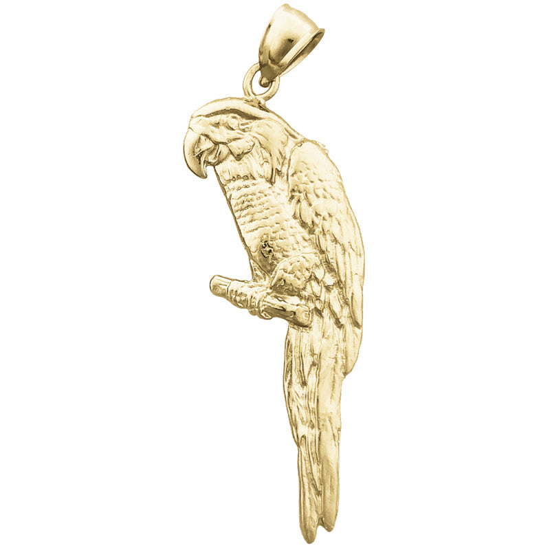 14K Gold Macaw-Anhänger