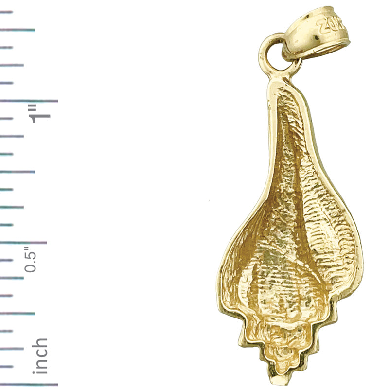 14K Gold Wellhornschnecken-Muschel-Anhänger