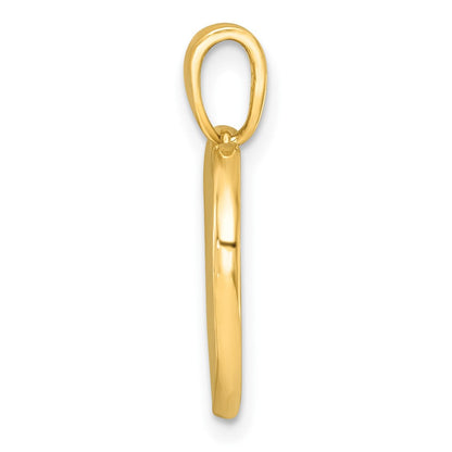 14K Gelbgold Polierter Emaille-Pfotenabdruck-Charm in rosa Herz