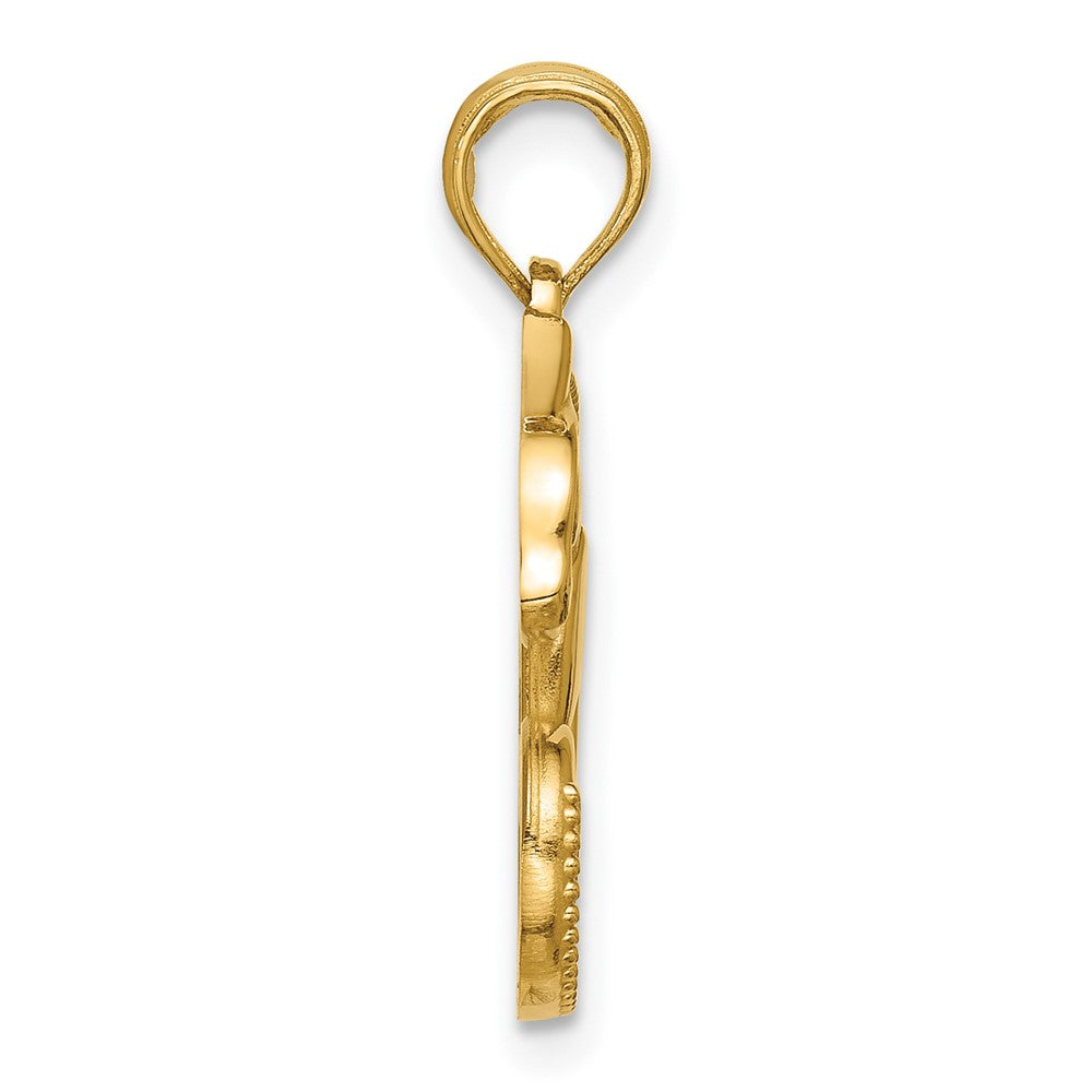 14K Gelbgold Chamäleon-Anhänger, poliert