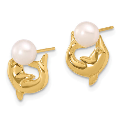 14K Gelbgold 5-6mm Knopf Süßwasser Zuchtperle Delfin Ohrstecker