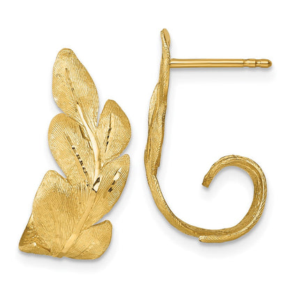 14K Gelbgold Gebürstet und Strukturiert Curled Blatt Ohrstecker