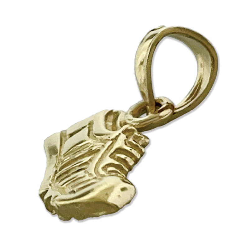 14K Gold Sneaker-Charm