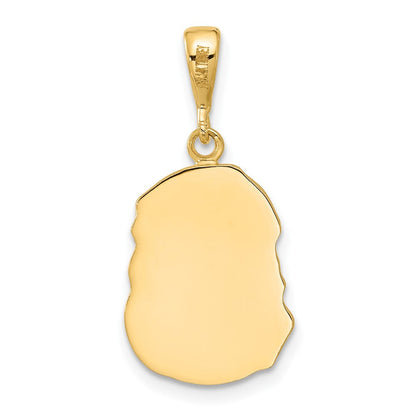 14K Gelbgold Jesus-Medaille-Anhänger, satiniert und diamantiert