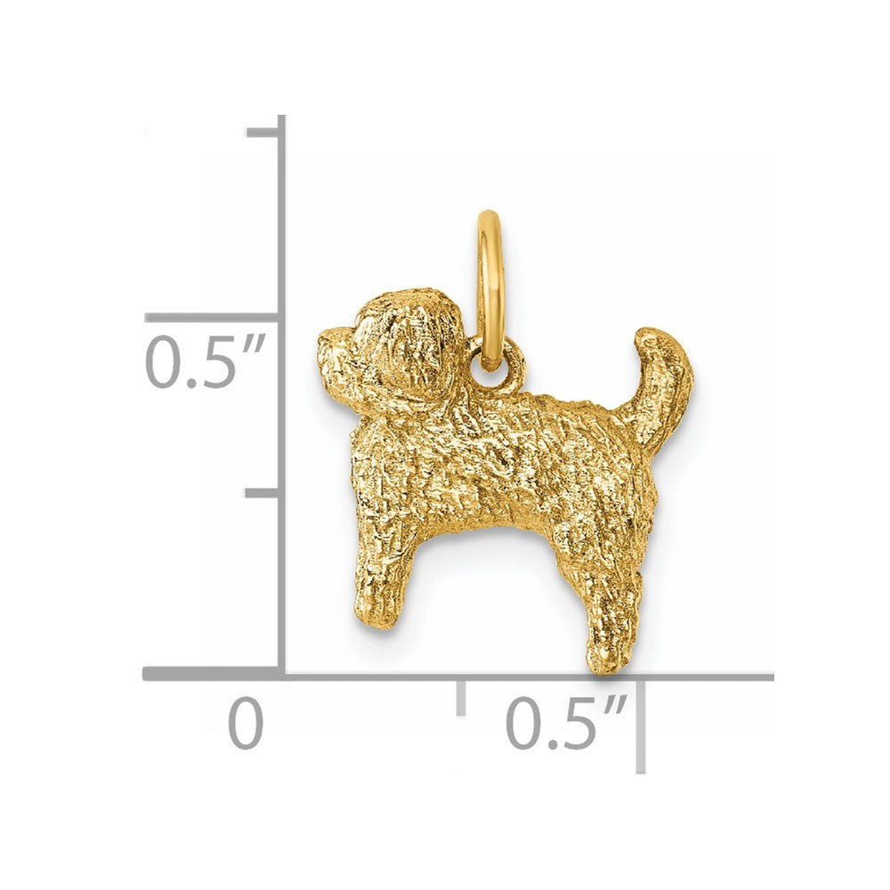 14K Gelbgold Polierter Struppiger-Hund Anhänger