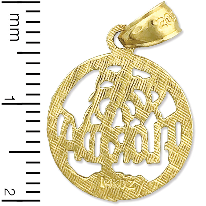 14K Gold Florida im Kreis Charm