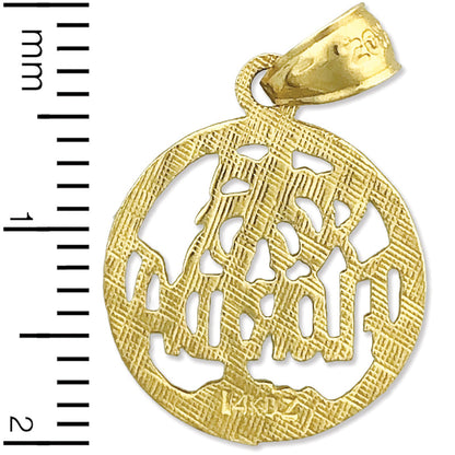 14K Gold Florida im Kreis Charm